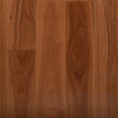 Bluegum