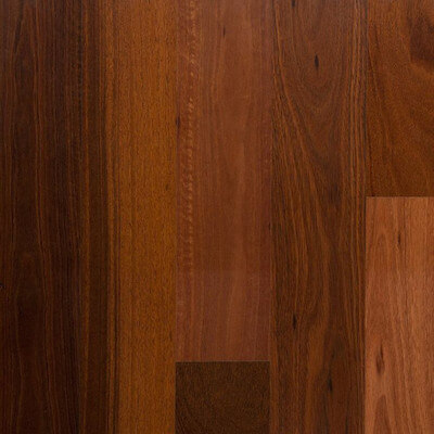 Jarrah