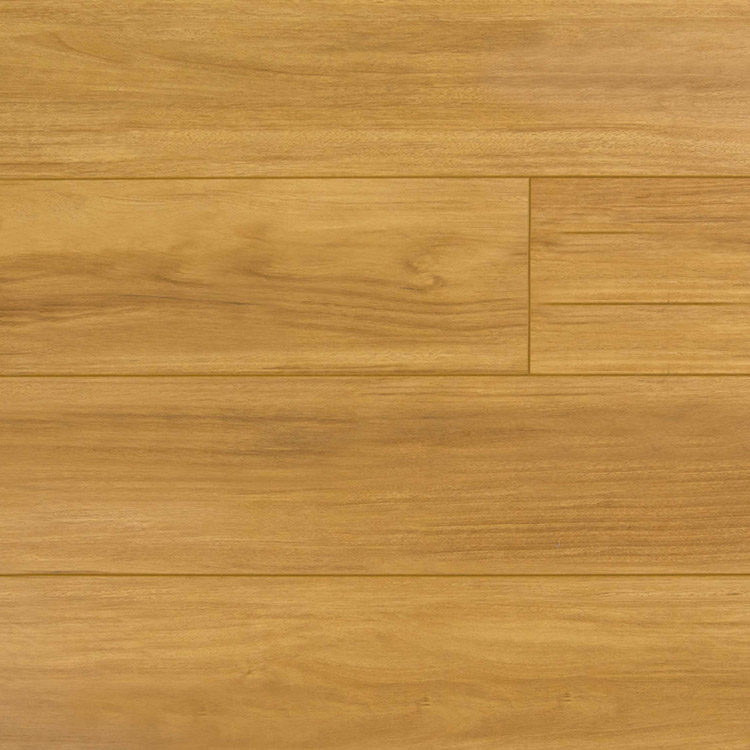 Blackbutt