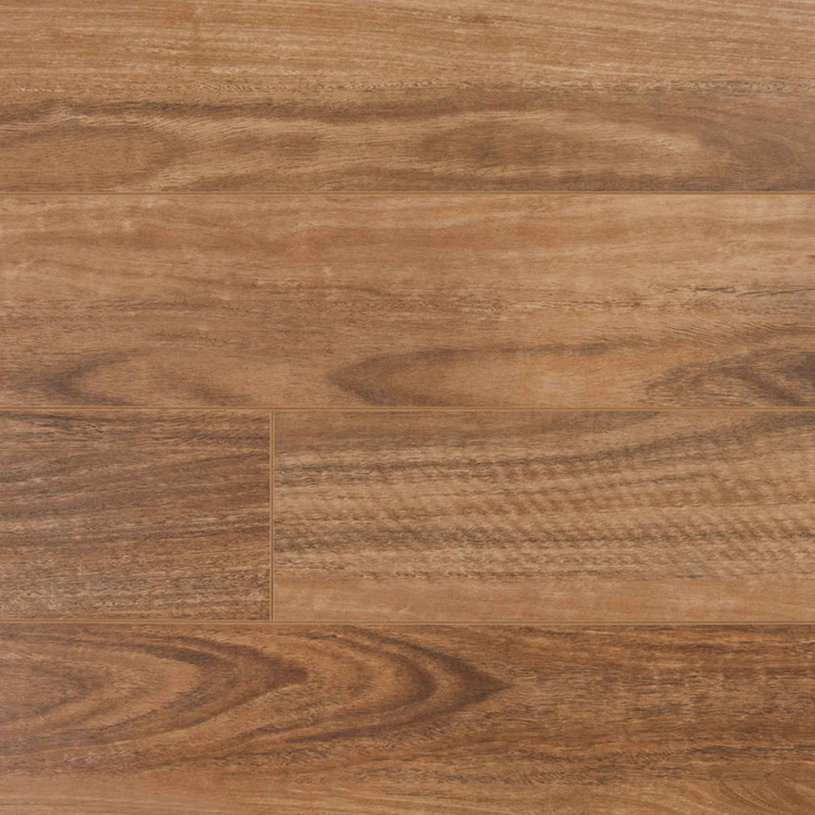 Spotted Gum